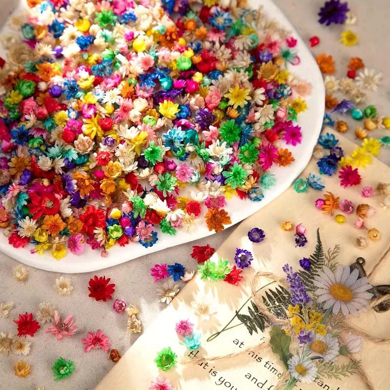 Flor de colores mezclados para - Candle Supplies Bulk reseña y precio